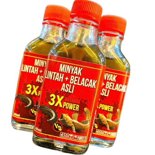 Minyak Lintah Belacak